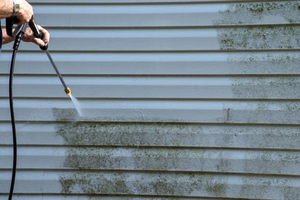 Best Siding Removal and Disposal  in Demarest, NJ