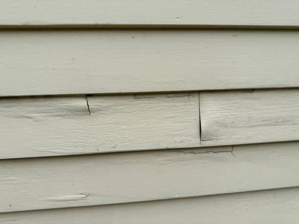 Best Siding Removal and Disposal  in Demarest, NJ
